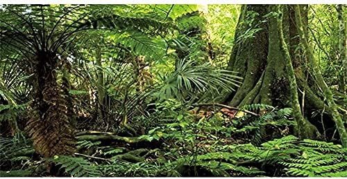 AWERT 24x12 cm Erdő Terrárium Háttér Kő Zöld Hatalmas Fa Hüllő Élőhely Háttér Trópusi Esőerdő Akvárium Háttér Tartós