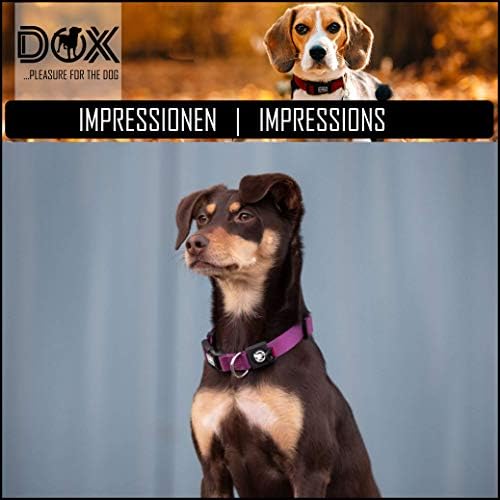 DDOXX Nylon Nyakörv - Erős, Állítható Nyakörv Kutyák - XS (Rózsaszín)
